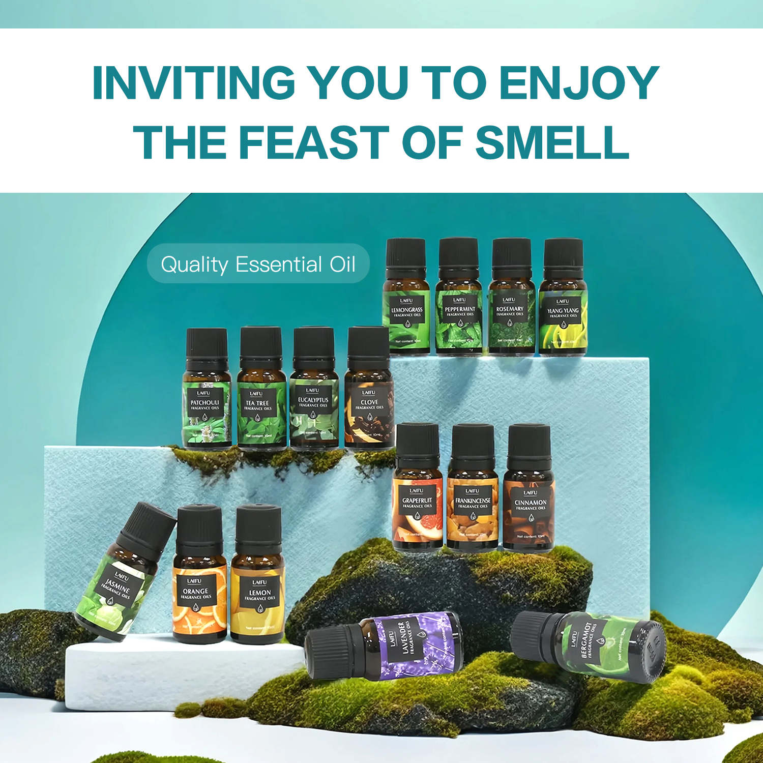 16x10ml Essential Oils Set for - مراجعة Perfume Fragrance World وسعره